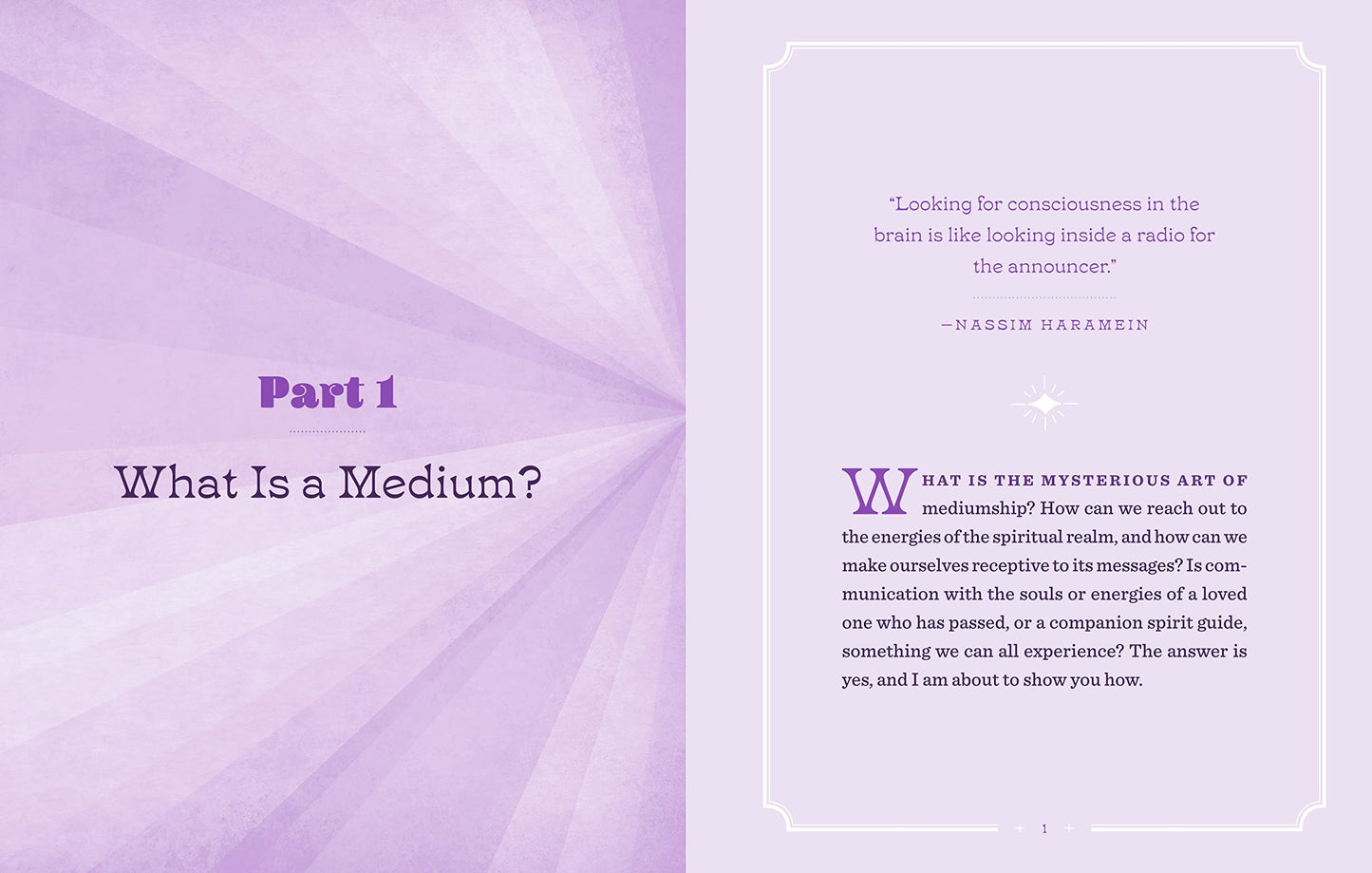 Vibes from the Other Side: Accessing Your Spirit Guides & Other Beings from the Beyond